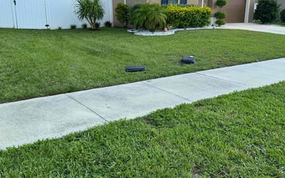 Photo of Nathan S.'s yard after getting tree care in Lompoc, CA