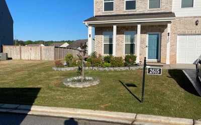 Photo of Kailah P.'s yard after getting lawn care in Lodi, CA