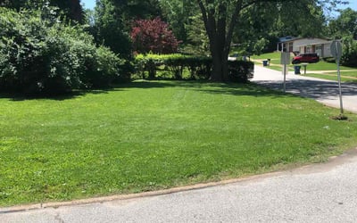 Photo of Yuliia S.'s yard after getting lawn care in Milton, FL
