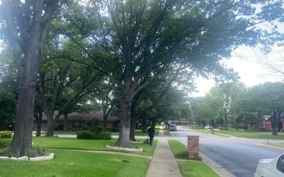 Photo of Anna B.'s yard after getting lawn care in Milton, FL