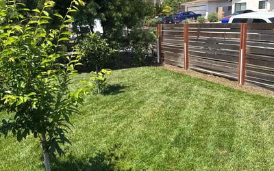 Photo of Korina H.'s yard after getting lawn care in New Orleans, LA