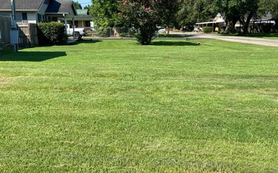 Photo of Travis .'s yard after getting lawn care in Orange, TX