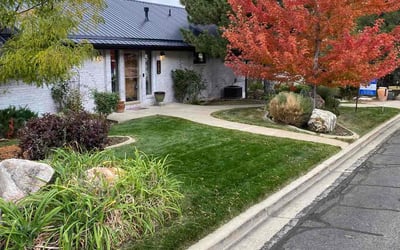 Photo of Lauren W.'s yard after getting lawn care in Clearfield, UT