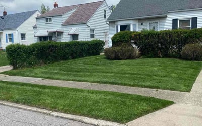 Photo of Jackson C.'s yard after getting lawn care in Maple Heights, OH