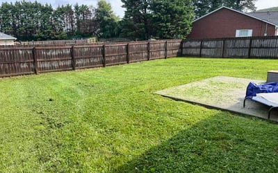 Photo of Paul L.'s yard after getting lawn care in Murrysville, PA