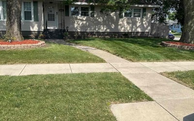 Photo of Tiffani G.'s yard after getting lawn care in Hammond, IN