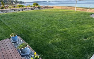 Photo of Susie W.'s yard after getting lawn care in Maumelle, AR
