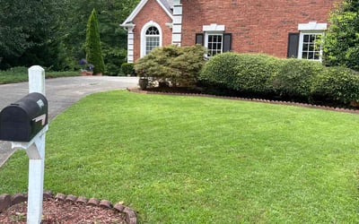 Photo of Nick M.'s yard after getting lawn care in Temecula, CA