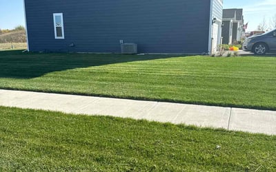 Photo of Chris P.'s yard after getting lawn care in Benton Harbor, MI