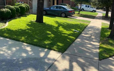 Photo of Destiny R.'s yard after getting lawn care in Green Valley, AZ
