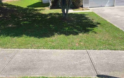 Photo of Melissa T.'s yard after getting lawn care in Jackson, MS
