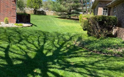 Photo of Laquite Smith E.'s yard after getting lawn care in Ozark, MO