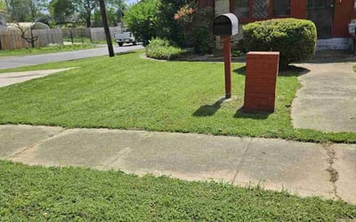 Photo of Sequoah R.'s yard after getting lawn care in Birmingham, AL