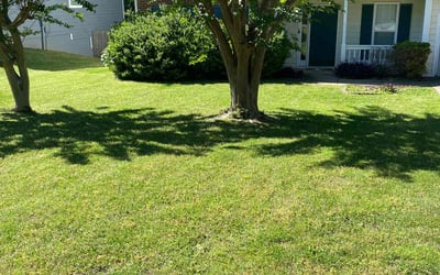 Photo of Angela R.'s yard after getting lawn care in Alpharetta, GA