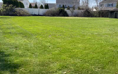 Photo of Shannon M.'s yard after getting lawn care in Gloucester City, NJ