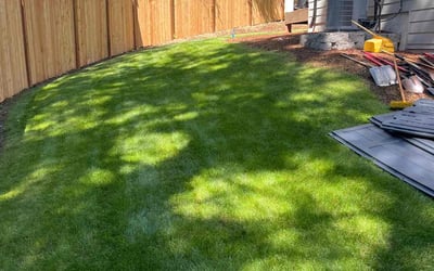 Photo of Nanette L.'s yard after getting lawn care in Lakewood, WA