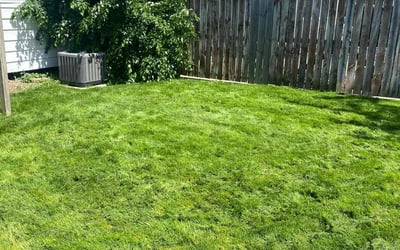 Photo of Krys J.'s yard after getting lawn care in Brook Park, OH