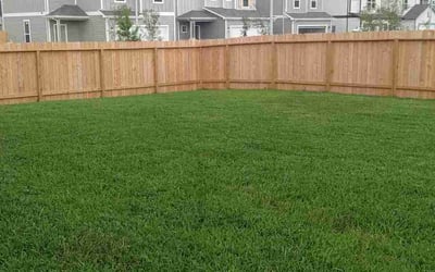 Photo of Jamera N.'s yard after getting lawn care in Birmingham, AL