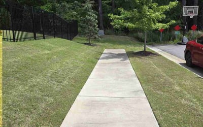 Photo of Caroline B.'s yard after getting lawn care in Aurora, CO