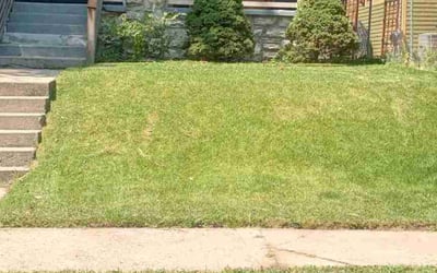 Photo of Jamesd F.'s yard after getting lawn care in Selma, CA