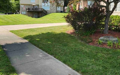 Photo of Hussein E.'s yard after getting lawn care in Rochester Hills, MI