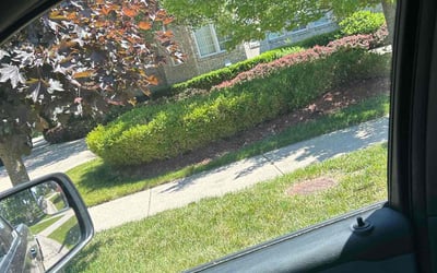 Photo of Carlethea H.'s yard after getting lawn care in Rochester Hills, MI