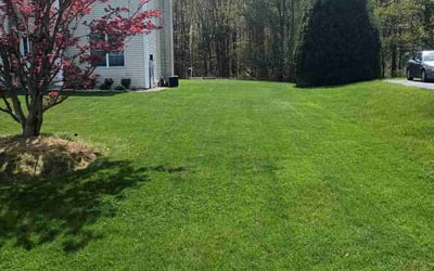 Photo of Carla J.'s yard after getting lawn care in Bedford, NH