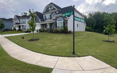 Photo of Cindy W.'s yard after getting lawn care in Great Falls, SC