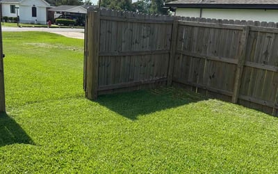 Photo of Jennifer M.'s yard after getting lawn care in Winter Park, FL