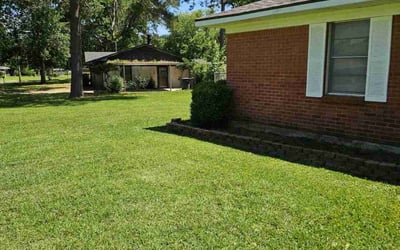 Photo of Jacob M.'s yard after getting lawn care in Spring Branch, TX