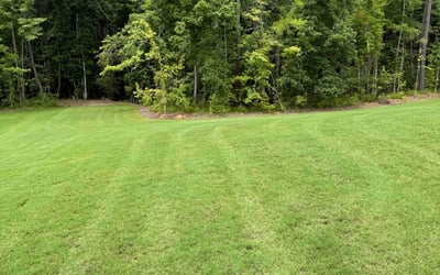 Photo of Jasmine R.'s yard after getting lawn care in Mcdonough, GA
