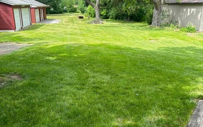 Photo of Brittany A.'s yard after getting lawn care in Strongsville, OH