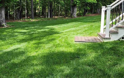 Photo of Jennifer B.'s yard after getting lawn care in Chesterfield, VA