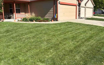 Photo of Rachael W.'s yard after getting lawn care in Cincinnati, OH