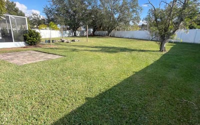 Photo of Cris R.'s yard after getting lawn care in Gulfport, FL