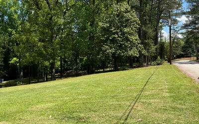 Photo of Ian A.'s yard after getting lawn care in Guyton, GA