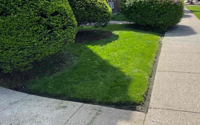 Photo of Joe T.'s yard after getting lawn care in Bradenton, FL