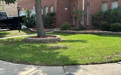 Photo of Kristal M.'s yard after getting lawn care in Orlando, FL