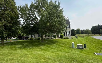 Photo of Beth D.'s yard after getting lawn care in Bountiful, UT