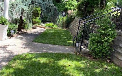 Photo of Donna M.'s yard after getting lawn care in Monroe Township, NJ