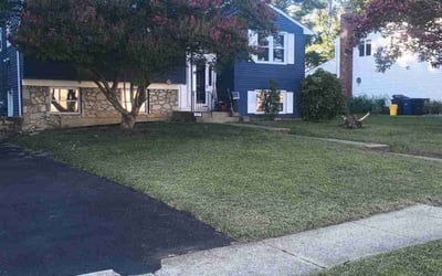 Photo of Darren S.'s yard after getting lawn care in Collingswood, NJ