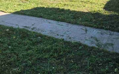 Photo of Sarah T.'s yard after getting lawn care in Saint Joseph, MI