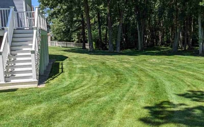 Photo of Andrew P.'s yard after getting lawn care in Tewksbury, MA