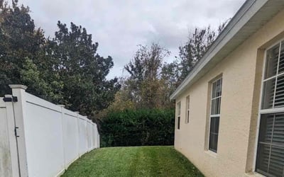Photo of David J.'s yard after getting lawn care in San Leandro, CA