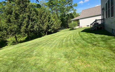 Photo of Donnie B.'s yard after getting lawn care in Watervliet, NY