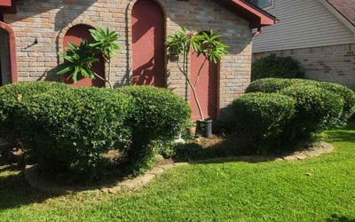 Photo of Natoya A.'s yard after getting lawn care in Houston, TX
