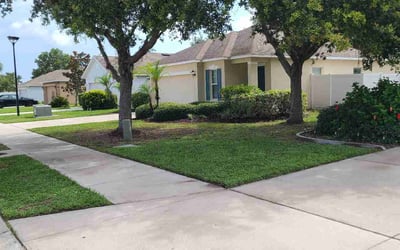 Photo of Clay R.'s yard after getting lawn care in Dover, NH