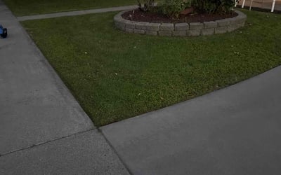 Photo of Ed H.'s yard after getting lawn care in Springfield, NJ
