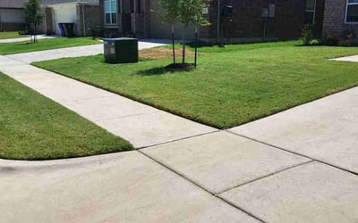 Photo of Callia J.'s yard after getting lawn care in Hampton, GA