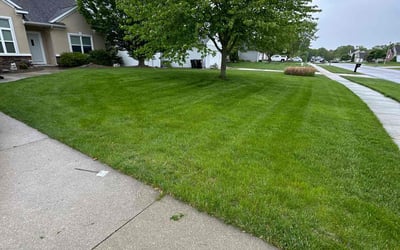Photo of Tim R.'s yard after getting lawn care in West Bend, WI